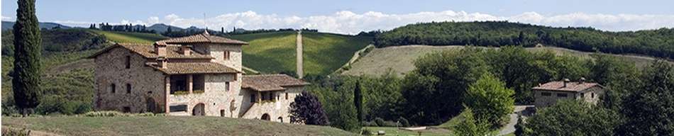 Cipresso